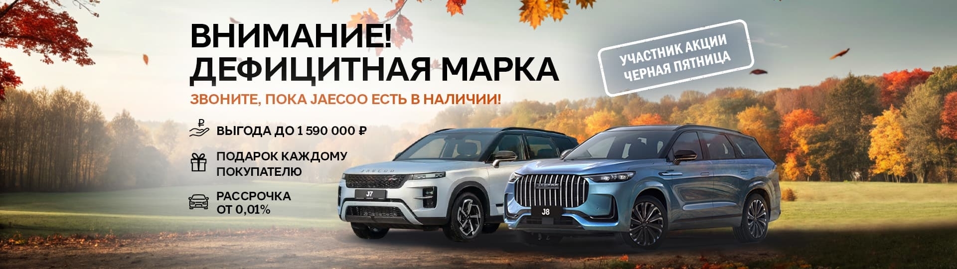 Главный баннер