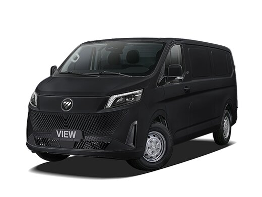 Foton View
