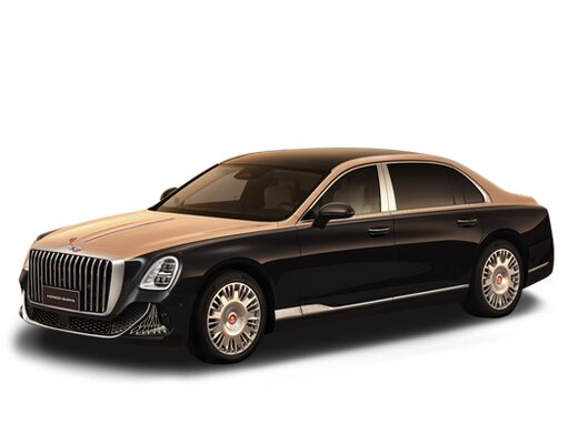 фото Hongqi GUOYA