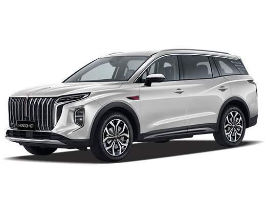 фото Hongqi Новый HS7 
